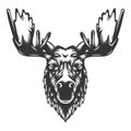 Moose deer head design with horn. Farm Animal. Cows logos or icons. vector illustration