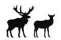 moose deer pair, vector set