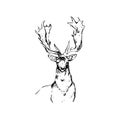 Moose, elk with antlers, mammal, wild animal, wildlife, vector, illustration in black and white color, isolated on white Royalty Free Stock Photo