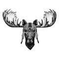 Moose, elk wearing motorcycle, aero helmet. Biker illustration for t-shirt, posters, prints. Royalty Free Stock Photo