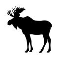 Moose elk vector illustration black Royalty Free Stock Photo