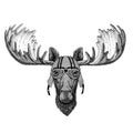 Moose, elk wearing biker helmet Animal with motorcycle leather helmet Vintage helmet for bikers Aviator helmet