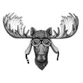 Moose, elk Wild animal wearing biker motorcycle aviator fly club helmet Illustration for tattoo, emblem, badge, logo Royalty Free Stock Photo