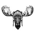 Moose, elk Wild animal wearing inidan headdress with feathers. Boho chic style illustration for tattoo, emblem, badge