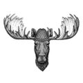 Moose, elk Wild animal wearing tirol hat Oktoberfest autumn festival Beer fest illustration Bavarian beer festival