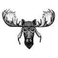 Moose, elk wild biker animal wearing motorcycle helmet. Hand drawn image for tattoo, emblem, badge, logo, patch, t-shirt