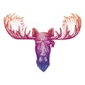 Moose elk. Wild pirate or biker. Vector animal portrait. Sailor, motorcyclist. Print for children clothing, tee. Kids