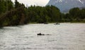 A moose enjoying a swim in alaska