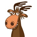 Moose Face Picture. Cartoon Smile Deer Vector. Image On White Background.