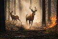 Moose fleeing from forest fire