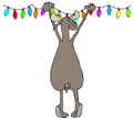 Moose hanging Christmas lights Royalty Free Stock Photo