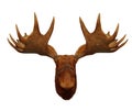 Moose head antler