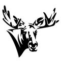 Moose head front view vector design