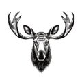 Moose Head Icon, Wild Animal Silhouette, Zoo Logo, Moose Symbol on White Background Royalty Free Stock Photo