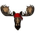 Moose head. Portrait of funny animal. Bandana. Pirate. Motorcycle.