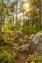 Moose Horn Trail Path