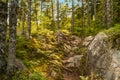 Moose Horn Trail Path