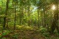 Moose Horn Trail Path