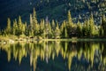 Moose on Lost Lake - Colorado