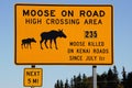 Moose on road yellow warning road sign