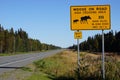 Moose on road yellow warning road sign