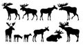 Moose set. Elk adult males and females. Moose cubs. Silhouette picture. Animals in wild. Isolated on white background Royalty Free Stock Photo