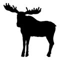 Moose Silhouette. Black Elk Shade Image Royalty Free Stock Photo