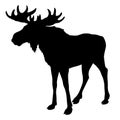 Moose silhouette, black