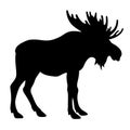 Moose silhouette 001 Royalty Free Stock Photo