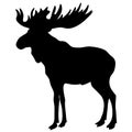 Moose silhouette Royalty Free Stock Photo