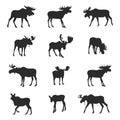 Moose silhouettes, Moose silhouette Royalty Free Stock Photo