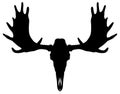 Moose skull silhouette in black Royalty Free Stock Photo