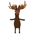 Moose standing on two legs animal cartoon character vector illustration