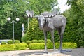 Moose statue in the city square 1928. Sovetsk, Kaliningrad region Royalty Free Stock Photo