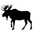 Moose, vector illustration , black silhouette profile