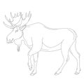 Moose, vector illustration , lining draw profile