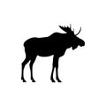 moose silhouette animal logo Royalty Free Stock Photo