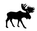 Moose vector silhouette illustration isolated on white background. Elk silhouette. Royalty Free Stock Photo