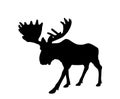 Moose vector silhouette illustration isolated on white background. Royalty Free Stock Photo