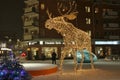 A moose wanders across the square