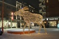 A moose wanders across the square