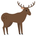 Moose wild animal vector illustration