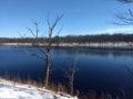 Moosehead Lake after light snow Royalty Free Stock Photo