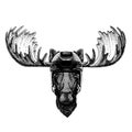 Mooske, elk animal wearing hockey helmet. Hand drawn image of lion for tattoo, t-shirt, emblem, badge, logo, patch. Royalty Free Stock Photo