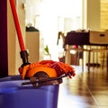 Mop and bucket, to clean the floor Royalty Free Stock Photo