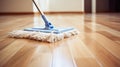 Mop cleaning parquet Royalty Free Stock Photo