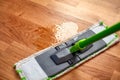 Mop cleaning spilled water on parquet Royalty Free Stock Photo