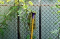 A mop rag cleaner on the metal fence with a trees growing along the fence, house cleaning concept Royalty Free Stock Photo