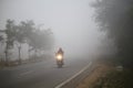 A moped rider riding through a foggy forest road.