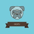 Mops breed dog for logo design